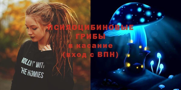 a pvp Гусиноозёрск
