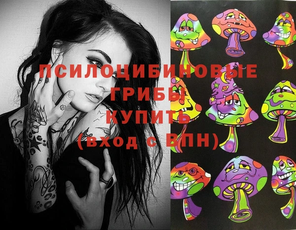 гидропоника Гусев