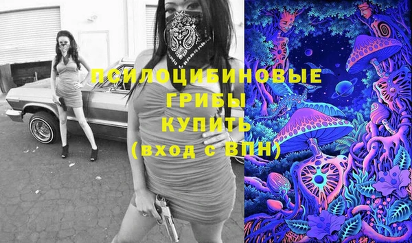 a pvp Гусиноозёрск