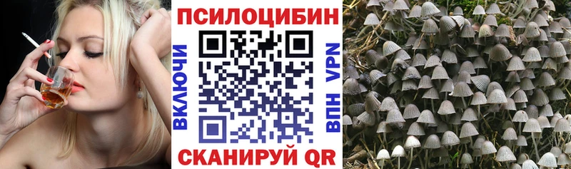 купить наркотик  Володарск  Галлюциногенные грибы ЛСД 